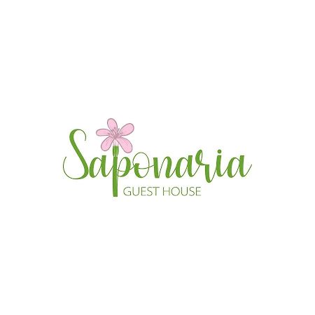 Saponaria Casa Al Mare Apartment คาตาเนีย ภายนอก รูปภาพ